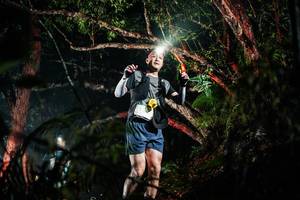 BIB: 
                            <button type="button" onclick="openModal(26294913)" class="btn btn-primary btn-sm float-right btn-popup" data-toggle="modal" data-target=".modal-high-quality">
                        <i class="fas fa-shopping-cart"></i> Add to Cart
                    </button>
                                            <button type="button" onclick="isThisMe(26294913, true)" class="btn btn-success btn-sm float-right btn-popup btn-isme hidden" data-toggle="tooltip" data-placement="bottom" title="นี่คือรูปของคุณใช่ไหม คลิกที่นี่เพื่อเอาเข้าอัลบั้ม">
                        <i class="fas fa-plus"></i> Add to album
                    </button>
                    <button type="button" onclick="isThisMe(26294913, false)" class="btn btn-warning btn-sm float-right btn-popup btn-isnotme hidden">
                        <i class="fas fa-ban"></i> Remove from album
                    </button>